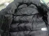 Herren-Polojacke, Designer-Kleidung, Kapuze, S, Wintermantel, warmer schwarzer Parka, Windjacke, lange Ärmel, Pufferjacken, Reißverschlüsse, Buchstaben bedruckt, hochwertig, Großhandel LL