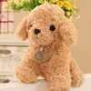 Bambole di peluche 18/25 cm Cute Real Life Teddy Dog Barboncino Giocattoli di peluche Suffed Animal Doll per il regalo di compleanno di Natale