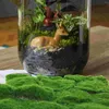 Fleurs décoratives simulées fausse mousse accessoires pour la maison tapis de gazon artificiel herbe aménagement paysager accessoire Kit de batterie