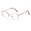 Sunglasses Trend Leopard Cat Eye Reading Glasses Women Clear Anti Blue Light Blocking Eyewear Men Optical Metal Spring Leg Frame Eyeglasses