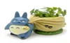 Kawaii Flowerpot Bulbasaur Suwolentna sadza