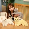 Pluszowe lalki urocze realistyczne kota pluszowa zabawka realistyczna nadziewane zwierzęta prezent dla dzieci dla dzieci wystrój domu prezent urodzinowy
