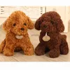 Plyschdockor 18/25 cm söta verkliga liv teddy hund poodle plysch leksaker sufficerade djurdocka för jul födelsedagspresent