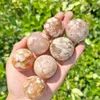 Reiki Healing Chakra Natural Craft Sakura Agate Ball Bead Quartz Mineral Crystals Tumbled Gemstones Handbit Hemdekoration Dhgarden