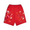 Summer Mens Shorts Designer Board Shorts Fashion Casu