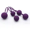 Vibradores Productos para adultos para mujeres Recuperación posparto inalámbrica Área privada Apriete Mancuernas Bola de Kegel de silicona Combinación de bolas múltiples Yoga