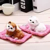 Bambole di peluche Giocattoli di peluche Simulazione adorabile Bambola animale Peluche Gatti addormentati Giocattolo con suono Decorazioni giocattolo per bambini Regalo di compleanno per bambini