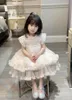 Kids Girls Wedding dresses Baby Girl Lace Print Cake Dress Fashion Children Party Tutu pink clothing3371152