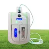 Concentratore di ossigeno portatile minimo Gadget sanitari Casa 15Lmin Macchina per ossigeno regolabile Uso da viaggio oxigeno medicoe AC110220V Hous8984677