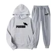 Tracksuits masculinos primavera outono homens e mulheres tracksuit 2 peças conjuntos unisex esporte ao ar livre hoodies velo moletom calças terno com capuz