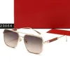 Carier Glasses Man Fashion Glasses Vintage Solglasögon Luxury Man Shade for Woman Designer Lunette De Luxe With Present Box