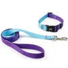 Colliers de chien à la mode dégradé de couleur réglable collier pour animaux de compagnie ensemble de corde de Traction adapté aux chiens différentes tailles fibre synthétique sécurisée