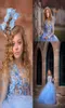 Blaue Prinzessin Blumen Mädchen Kleider für Hochzeit Langarm 3D Blumenspitze Applikation Perlen Ballkleid Kinder Festzug Kleider Erstkommunion9777769