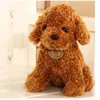 Poupées en peluche 18/25 cm, chien en peluche, caniche, jouets en peluche, Animal soufflé, cadeau de noël et d'anniversaire