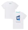 F1 2024 Dorosły wyścig T-shirt Formula 1 drużyna wyścigowa T-shirt Summer Beach Fashion Casual T-shirt męskie koszulka Szybka sucha kamizelka plus rozmiar