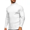 Polos pour hommes 2024 Automne Européen Américain Chaud T-shirt À Manches Longues Commerce Extérieur Col Haut Couleur Solide Pull Chemise Hommes