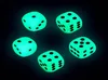 14mm Luminous Dice D6 6 Sided Glowing Dices Glow Dark Bosons Noctilucent Cubes Drinking Games Funny Pub Bar Game Toys Good H6655897