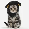 Costumes de chat, chapeau décoratif pour animaux de compagnie, casquette de carnaval, Adorable chien Cosplay, décoration d'anniversaire pour fille, chiot, chapeaux de dessin animé d'halloween
