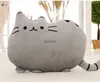 Plush Dolls 40*30cm Kawaii Cat Pillow With Zipper Only Skin Without PP Cotton Biscuits Plush Animal Doll Toys Big Cushion Cover Peluche Gift