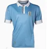 2024 Uruguay voetbalshirts jubileum 100e speciale L.SUAREZ E.CAVANI N.DE LA CRUZ thuisshirt G.DE ARRASCAETA F.VALVERDE R.ARAUJO R.BENTANCUR voetbaluniform