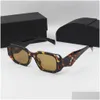 Sonnenbrille Modedesigner Goggle Strand Sonnenbrille Outdoor Zeitloser klassischer Stil für Mann Frau Brillen 13 Farben Optional High Q Ot23Y