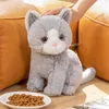 Plush Dolls Like Real Plush Cartoon Cats Sitting Cute Animal Toy Grey Yellow Black White Colors Kitten Doll Boys Girls Present