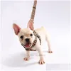 Halsbanden Luxe Set Designer Lijn Veiligheidsgordels Huisdierhalsband En Huisdierenketting Voor Kleine Middelgrote Honden Kat Chihuahua Poedel Bl Dh5H1