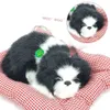 Poupées en peluche Simulation tapis en peluche chat chien jouets avec son dormir Neko Inu peluche jouet pour animaux de compagnie chambre table décorations de voiture cadeaux pour enfants