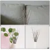 Fleurs décoratives branches de bouleau, tiges et Branches de décoration naturelles pour Vase, ornement de maison, petits accessoires d'arbre séchés