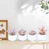 Decorative Flowers 4pcs Artificial Succulents Plants Home Garden Desktop Table Decoration Fake Party Festive Supplies Potted Bonsai