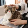 Plush Dolls Stuffed Lifelike Cats Plush Toy Simulation American Shorthair Cute Kitten Doll Pet Toys Home Decor Gift For Boys Girls Birthday