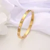 Moda jóias luxo amor prata 18k banhado a ouro zircônia cúbica parafuso pulseiras de aço inoxidável femme feminino