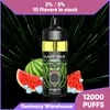 Frete grátis recarregável descartável vape puff 12k cartucho de cigarro elétrico starter kit 16ml suco recarregado 12000 puffs vapes pods de alta qualidade