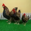 Gartendekorationen, lebensechtes Hühnermodell, realistische Hühnerstatue, Tierfigur, braun, M