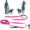 Apparel Pet Dog Martingale Collar Leash Suit. No Pull Training Daily Walk. Double Handles Premium Quality Lead. Size Medium to XLarge