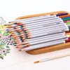 Levererar nya färger Safe Nontoxic Indonesia Lead Watercolor Pencils Watercolor Pencil Art Set Akvarell Skriva ritningskonsttillbehör