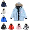 Mens Down Puffer Winter Coats Parkas Classic Outdoor Cold and Warm Thick With Coat Quality Drable Streetwear Fur Collar Jackets Jackets D88