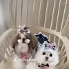 Vêtements pour chiens Mignon Pet Denim Dentelle Sangle Jupe Chat Vêtements Teddy Petit Printemps / Été Princesse Style Chiot