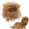 Costumes de chat avec crinière de Lion, perruque mignonne, chapeau amusant pour animaux de compagnie, casquette fantaisie, Costume de fête pour chien, décoration d'halloween et de noël