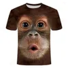 メンズ3D TシャツメンズTシャツ2024 Tシャツ3Dプリントアニマルモンキー半袖面白いデザインカジュアルトップドロップ