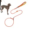 Hundhalsar leder för promenader Pet Traction Rope Double Limit Design Outdoor Training Tool Small Medium Large Dogs Supplies