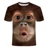 Camisetas 3D para Hombres Camisetas para Hombres Camisetas para Hombres Camiseta De Orangután 3D 2024 Hombres Y Mujeres Moda Estampado Animal Mono Divertido Manga Corta Top De Verano S-5XL