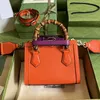 Designer tas schoudertassen Klassieke draagtas Luxe handtassen Damesmode Crossbody Luxe Topkwaliteit echt leer Met hoogwaardige crossbodytassen Dameshandtas