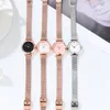 Womens simple stainless steel mesh with stylish casual waterproof quartz watch F4