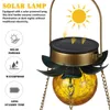 Otros suministros para pájaros Alimentador solar Baño colgante Metal salvaje iluminado para exteriores