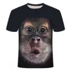 Mens T-shirts 3d Fashion Funny Monkey Graphic T Shirts Summer Casual Animal Pattern Men S Shirt Hip Hop Print Kort ärmstoppar