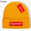 Winter gebreide muts designer cap modieuze motorkap chic winnter hoeden voor mannen schedel buiten dames cappelli mutsen gebreide muts f2