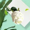 Fleurs décoratives Fleur en plastique durable Rose artificielle réaliste avec bord brûlé pour la décoration de jardin de mariage à la maison simulée mariée