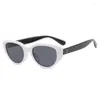 Zonnebrillen 2024 Vintage zwart -witte kattenoogglazen cateye bril tinten punk goggles