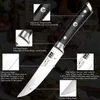 Camp Kitchen Shan Zu ostre ostrze noży stekowe Zestaw na zewnątrz grilla piknikowy mięsny noża noża nożem nóż 4pcs yq240123